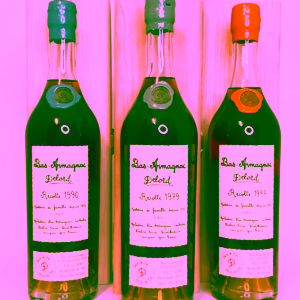 Smag på Armagnac Delord Fadstyrke Single Cask (3x3 cl)